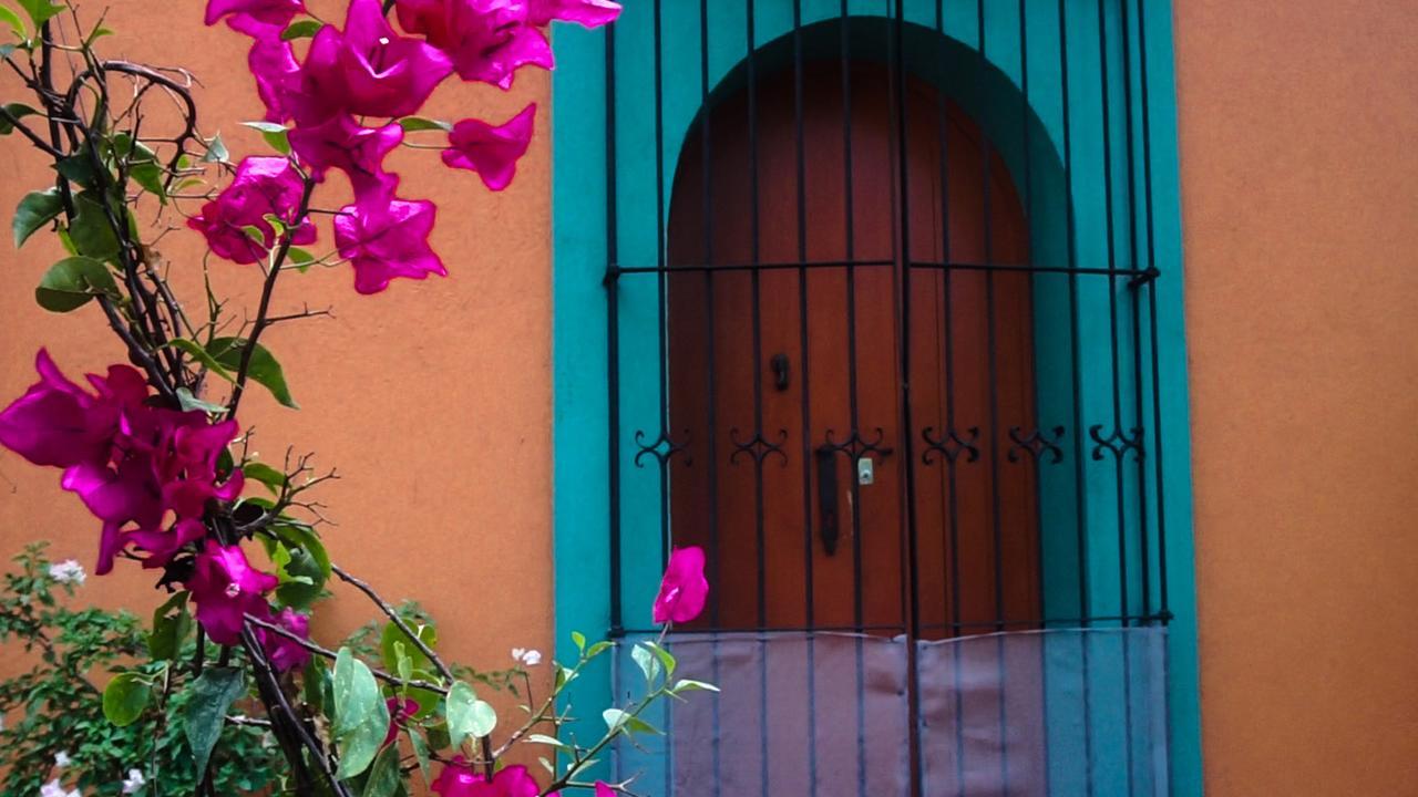 Casa Frida B&B Oaxaca 외부 사진