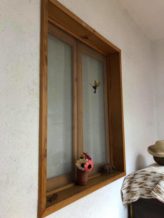 Casa Frida B&B Oaxaca 외부 사진