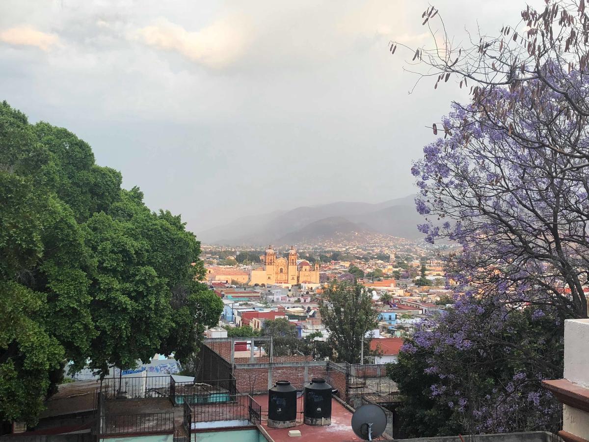 Casa Frida B&B Oaxaca 외부 사진