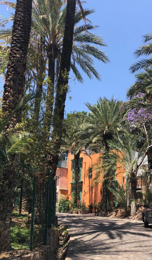 Casa Frida B&B Oaxaca 외부 사진